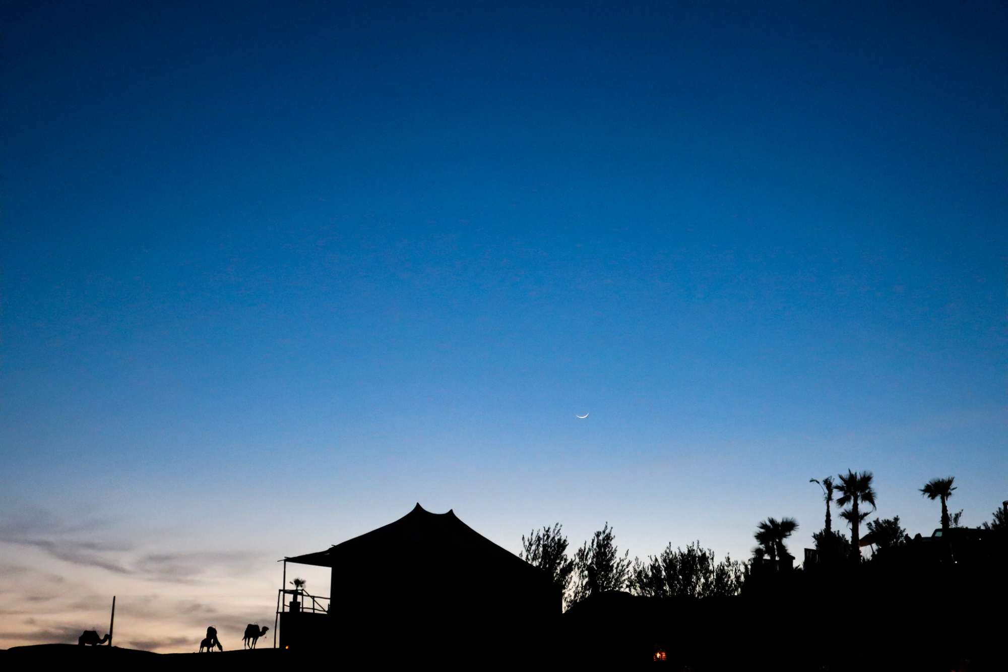 Desert sunset silhouette