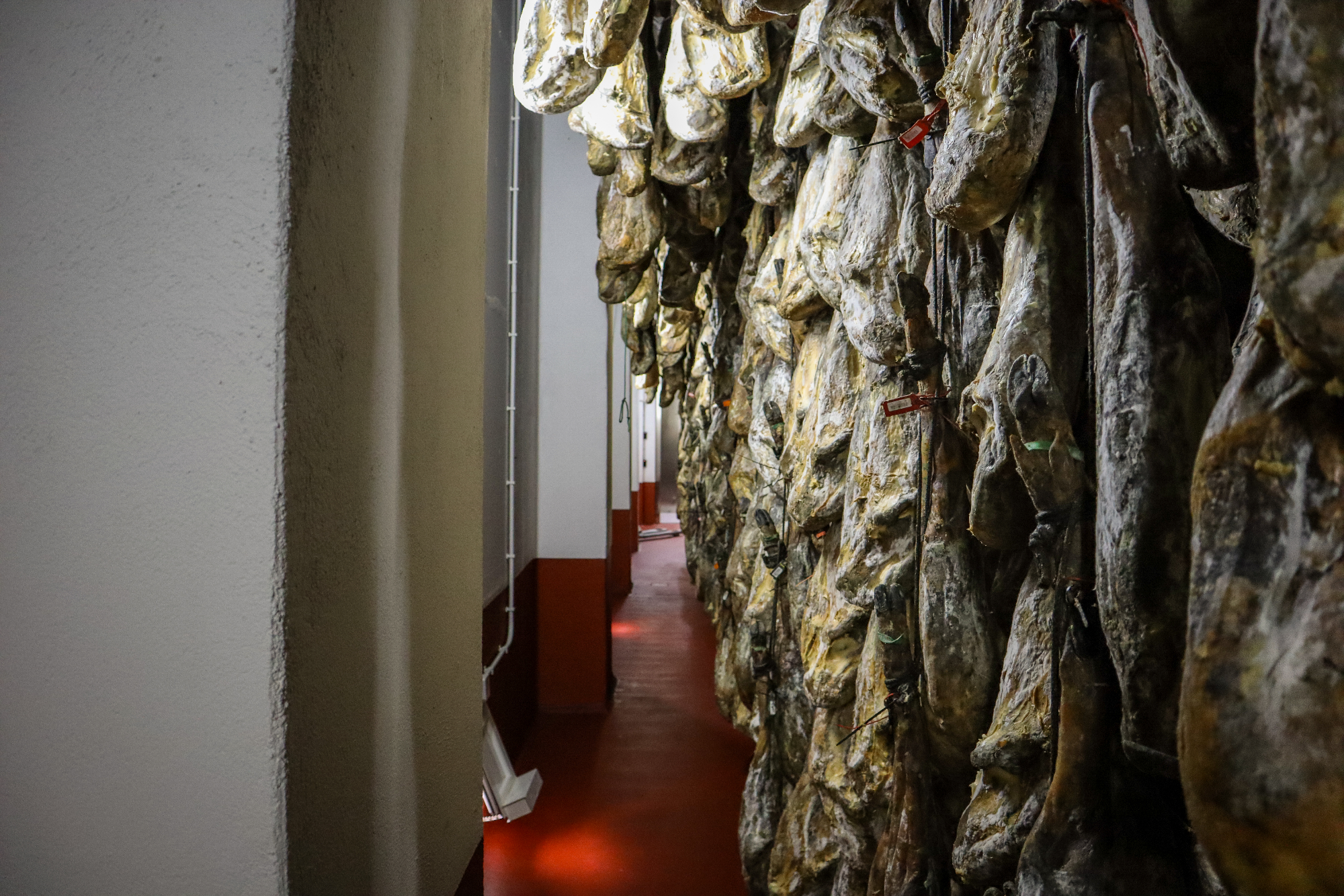 Jamón cellar hallway