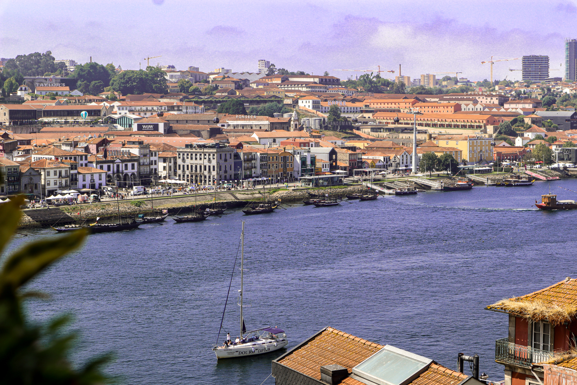 Porto Cityscape and Douro River